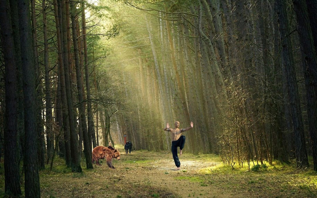 trees, forest, martial arts