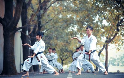 Kungfu-Gemeinschaften und Organisationen